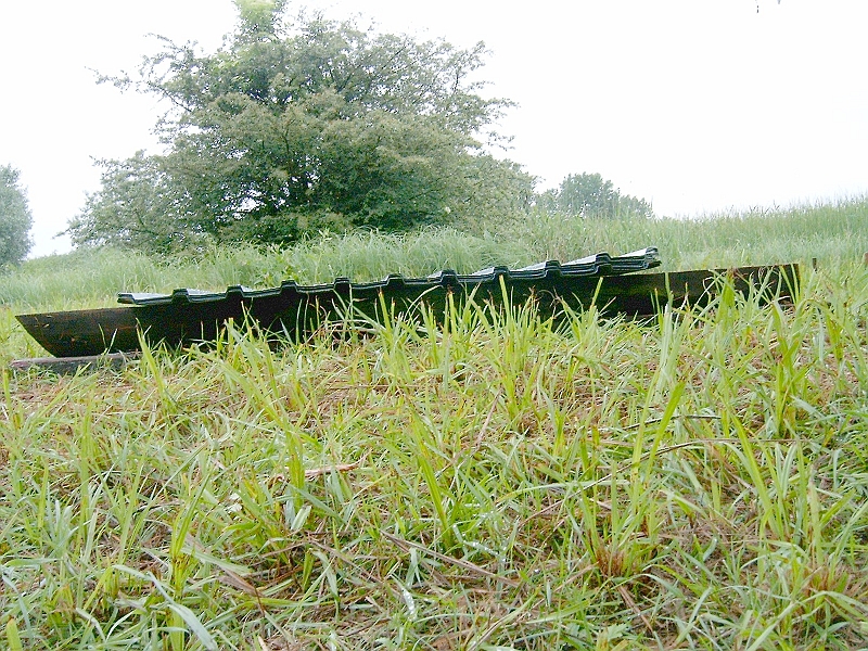 20100604 014.jpg